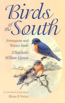 portada birds of the south: permanent and winter birds (en Inglés)