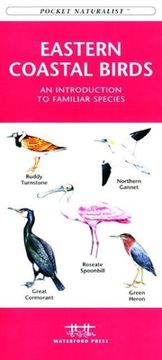 Georgia Birds: An Introduction to Familiar Species (en Inglés)