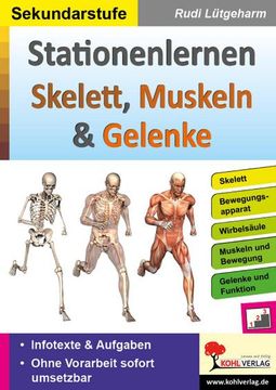portada Stationenlernen Skelette, Muskeln & Gelenke (en Alemán)