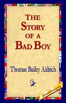 portada the story of a bad boy (in English)