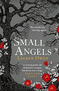 portada Small Angels: 'a Twisting Gothic Tale of Darkness, Intrigue, Heartbreak and Revenge' Jennifer Saint
