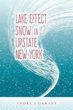 portada Lake Effect Snow in Upstate New York (in English)