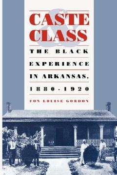 portada caste & class the black experience in arkansas (en Inglés)