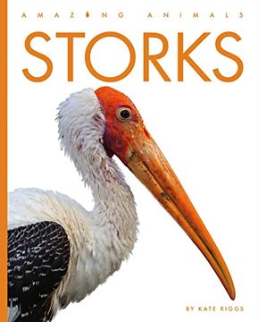 portada Storks (Amazing Animals) (in English)