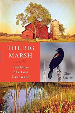 portada The Big Marsh: The Story of a Lost Landscape (en Inglés)