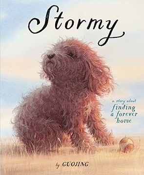 portada Stormy: A Story About Finding a Forever Home (en Inglés)