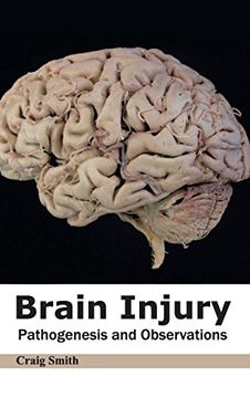 portada Brain Injury: Pathogenesis and Observations (en Inglés)