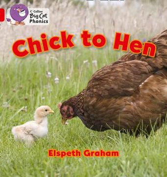 portada chick to hen (en Inglés)