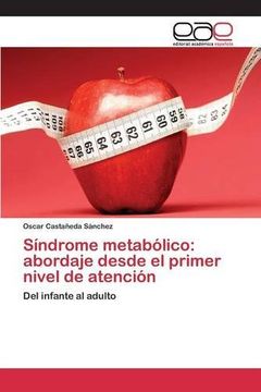 portada Síndrome metabólico: abordaje desde el primer nivel de atención: Del infante al adulto (Spanish Edition)