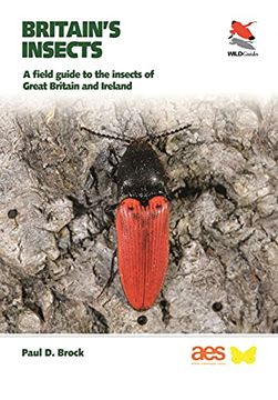 portada Britain'S Insects: A Field Guide to the Insects of Great Britain and Ireland (Wildguides of Britain & Europe, 27) 