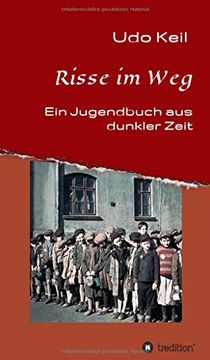 portada Risse im Weg: Ein Jugendbuch aus Deutschlands Dunkler Zeit (in German)