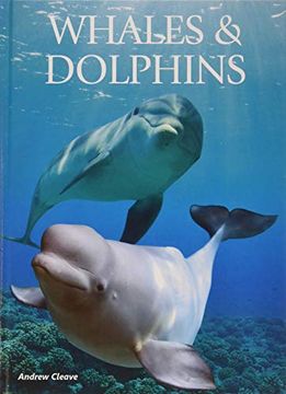 portada Whales & Dolphins (Creatures of the Ocean) (en Inglés)