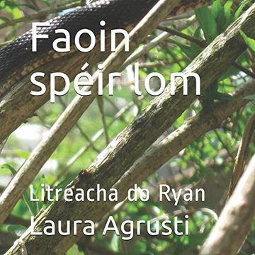 portada Faoin Spéir Lom: Litreacha do Ryan (in Irlandés)