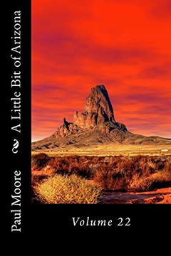 portada A Little bit of Arizona: Volume 22 (en Inglés)