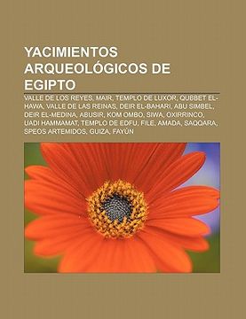 Libro Yacimientos Arqueol Gicos De Egipto: Valle De Los Reyes, Mair ...