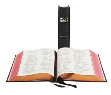 portada the holy bible: new international version. (in English)