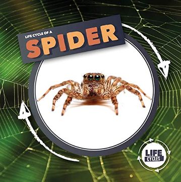 portada Life Cycle of a Spider (Life Cycles) (en Inglés)