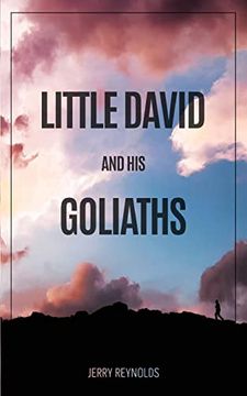portada Little David and Goliaths (en Inglés)
