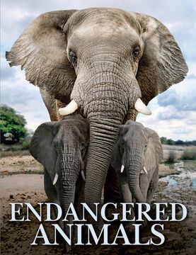 portada Endangered Animals (en Inglés)