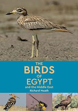 portada The Birds of Egypt and the Middle East (en Inglés)