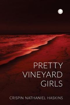 portada Pretty Vineyard Girls: A Martha's Vineyard Mystery (in English)