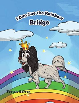 portada I can see the Rainbow Bridge (in English)