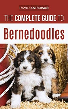 portada The Complete Guide to Bernedoodles: Everything you Need to Know to Successfully Raise Your Bernedoodle Puppy! 