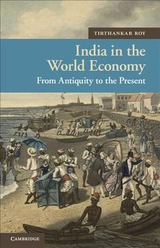 portada india in the world economy (en Inglés)