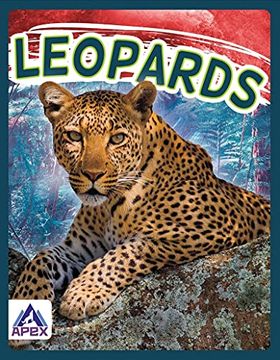 portada Leopards (en Inglés)