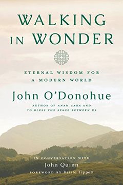 portada Walking in Wonder: Eternal Wisdom for a Modern World (en Inglés)