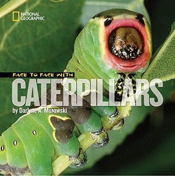 portada Face to Face With Caterpillars (Face to Face With Animals) (en Inglés)