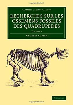 portada Recherches sur les Ossemens Fossiles des Quadrupèdes 4 Volume Set: Recherches sur les Ossemens Fossiles des Quadrupedes: Volume 2 (Cambridge Library Collection - Earth Science) (en Francés)