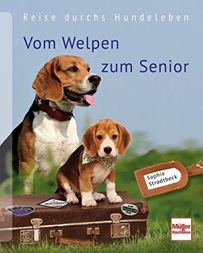 portada Vom Welpen zum Senior: Reise durchs Hundeleben (en Alemán)