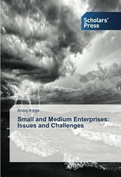 portada Small and Medium Enterprises: Issues and Challenges