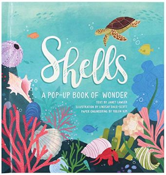 portada Shells: A Pop-Up Book of Wonder (en Inglés)