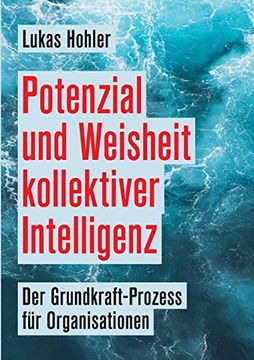 portada Potenzial und Weisheit Kollektiver Intelligenz: Der Grundkraft-Prozess für Organisationen (in German)
