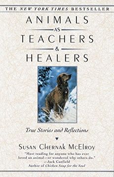 portada Animals as Teachers and Healers: True Stories and Reflections (en Inglés)