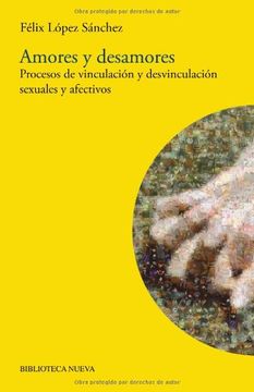 portada Amores y Desamores. Procesos de Vinculación y Desvinculación Sexuales y Afectivos (in Spanish)