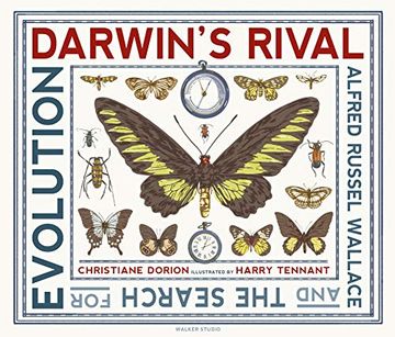 portada Darwin's Rival: Alfred Russel Wallace and the Search for Evolution (Walker Studio) (en Inglés)