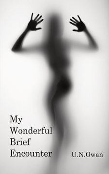 portada My Wonderful Brief Encounter (in English)