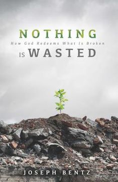 portada Nothing Is Wasted: How God Redeems What Is Broken (en Inglés)