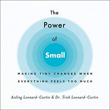 portada The Power of Small: Making Tiny Changes When Everything Feels too Much 