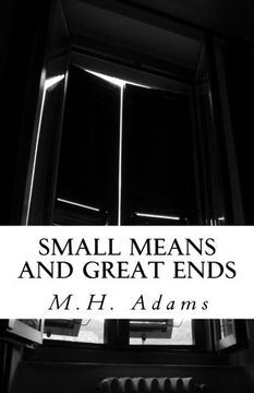 portada Small Means and Great Ends (in English)