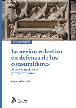 portada LA ACCION COLECTIVA EN DEFENSA DE LOS CONSUMIDORES ASPECTOS (in Spanish)