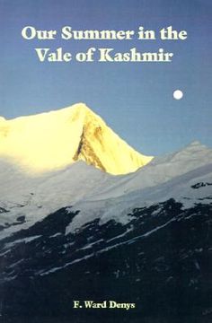 portada our summer in the vale of kashmir (in English)