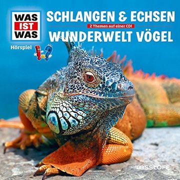 portada Schlangen und Echsen / Vögel, 1 Audio-Cd: 2 Themen auf Einer Cd! Sehen Hören Mitmachen. 76 Min. (en Alemán)