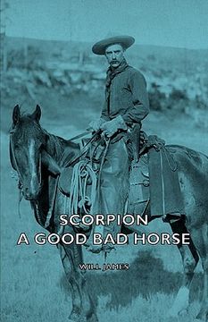 scorpion - a good bad horse