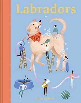 portada Labradors (in English)