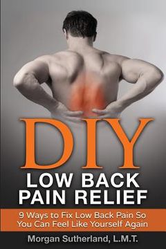portada DIY Low Back Pain Relief: 9 Ways To Fix Low Back Pain So You Can Feel Like Yourself Again (en Inglés)
