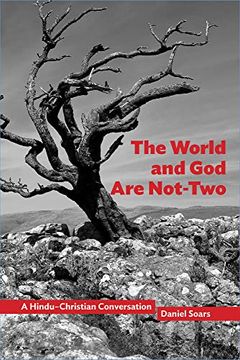 portada The World and god are Not-Two: A Hindu–Christian Conversation (Comparative Theology: Thinking Across Traditions, 10) (in English)